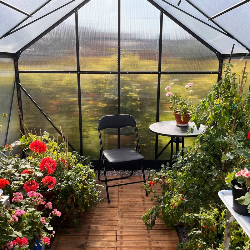 Växthus 7,2m² | Extra hög odlingshöjd | 6mm kanalplast | Svart - Trädgård & spabad - Trädgårdsskötsel - Växthus