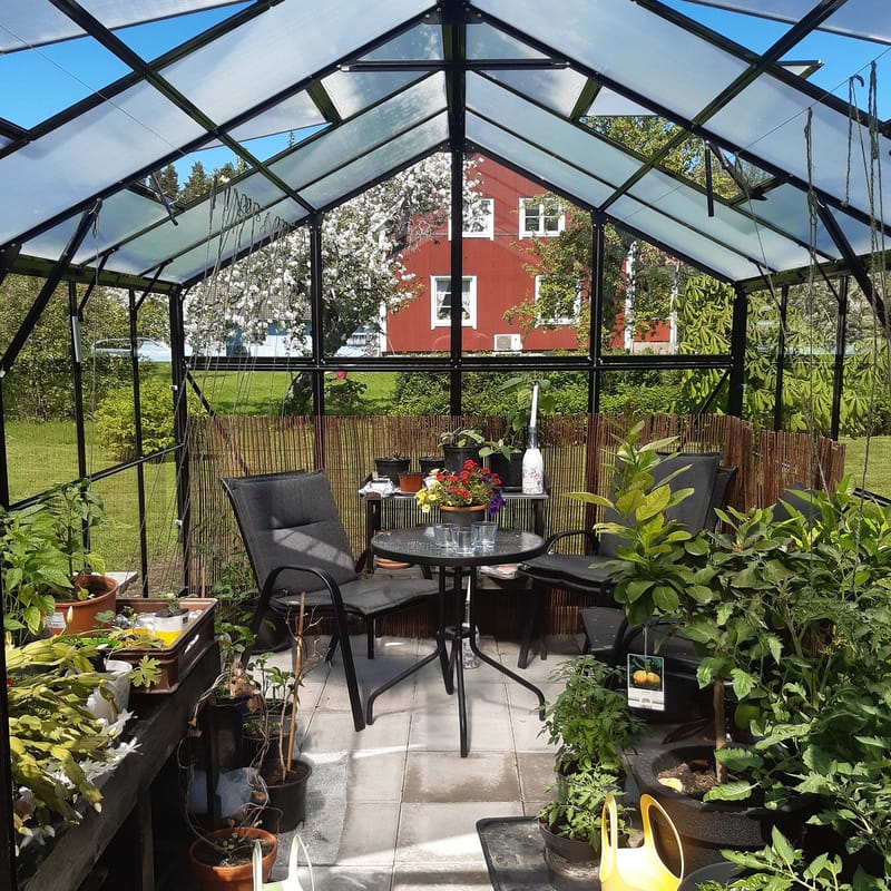 Växthus 9,6 m² | 4mm säkerhetsglas | 5 års stormgaranti | Svart - Trädgård & spabad - Trädgårdsskötsel - Växthus