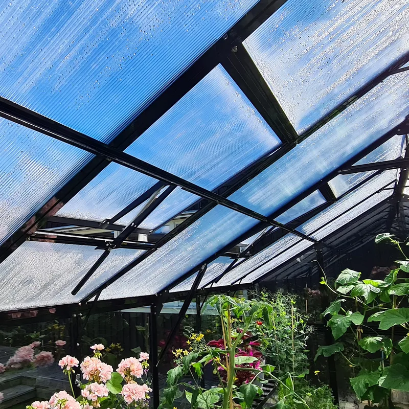 Växthus 9,6 m² | 4mm säkerhetsglas | 5 års stormgaranti | Svart - Trädgård & spabad - Trädgårdsskötsel - Växthus