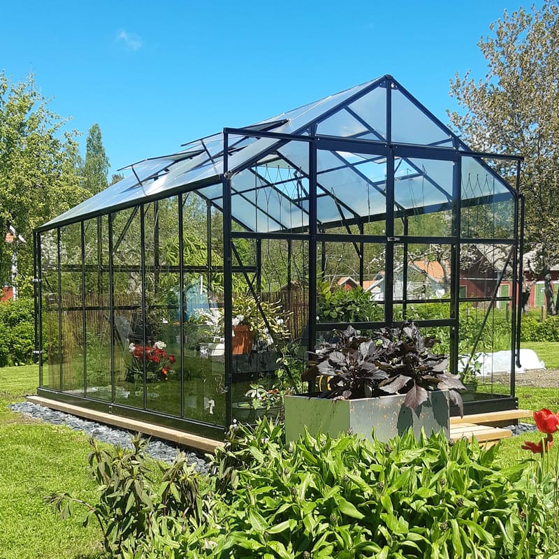 Växthus 9,6 m² | 4mm säkerhetsglas | 5 års stormgaranti | Svart - Trädgård & spabad - Trädgårdsskötsel - Växthus