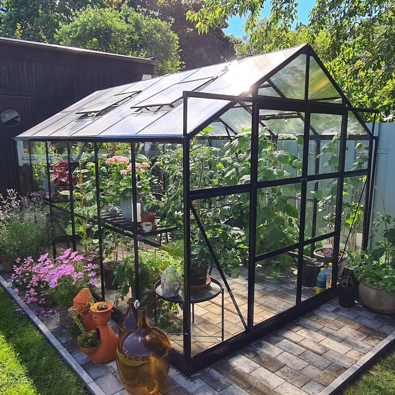 Växthus 9,6 m² | 4mm säkerhetsglas | 5 års stormgaranti | Svart - Trädgård & spabad - Trädgårdsskötsel - Växthus