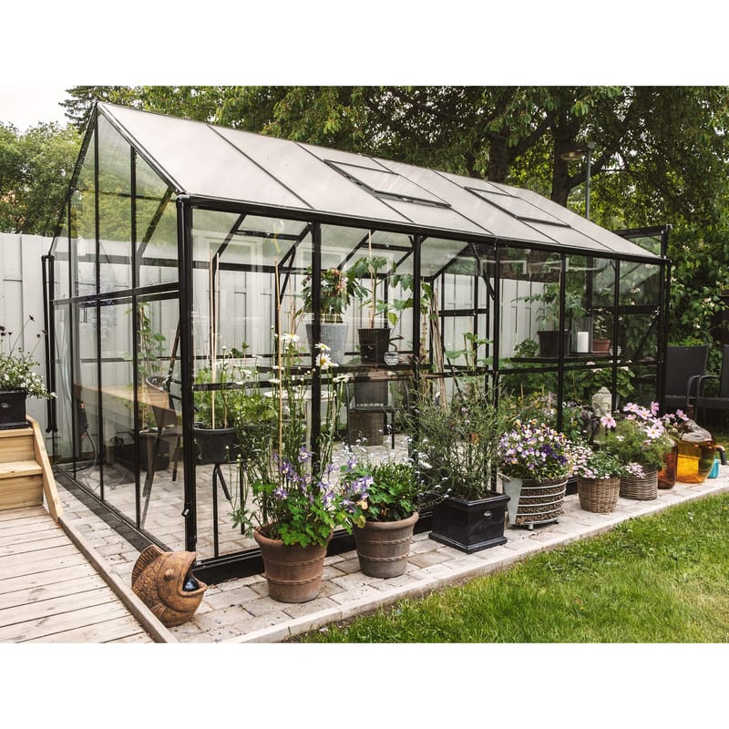 Växthus 9,6 m² | 4mm säkerhetsglas | 5 års stormgaranti | Svart - Trädgård & spabad - Trädgårdsskötsel - Växthus