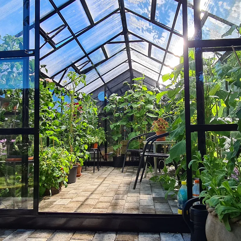 Växthus 9,6 m² | 4mm säkerhetsglas | 5 års stormgaranti | Svart - Trädgård & spabad - Trädgårdsskötsel - Växthus