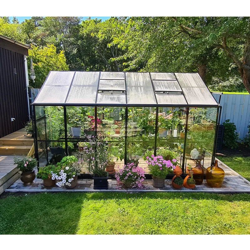 Växthus 9,6 m² | 4mm säkerhetsglas | 5 års stormgaranti | Svart - Trädgård & spabad - Trädgårdsskötsel - Växthus