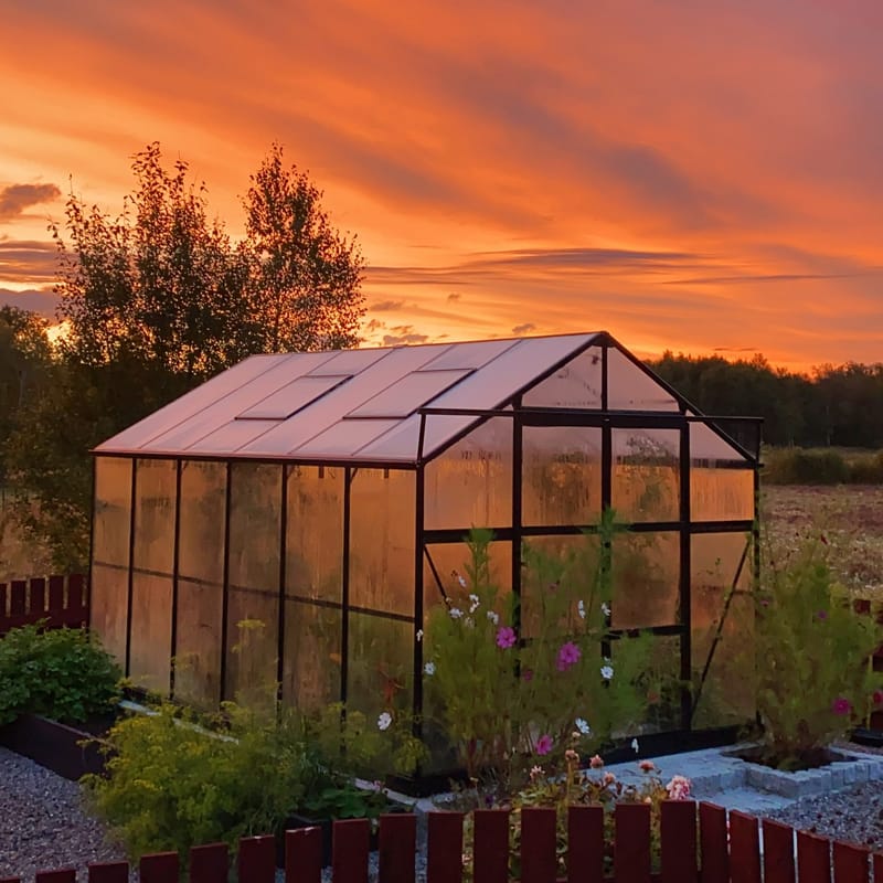 Växthus 9,6 m² | 4mm säkerhetsglas | 5 års stormgaranti | Svart - Trädgård & spabad - Trädgårdsskötsel - Växthus