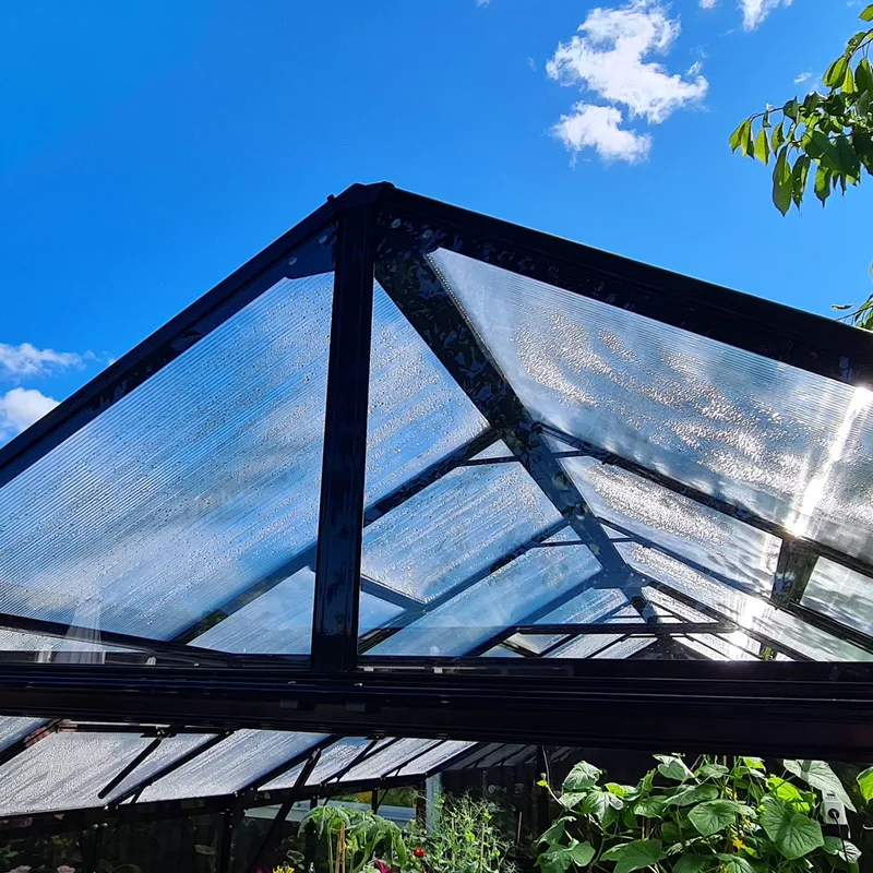 Växthus 9,6 m² | 4mm säkerhetsglas | 5 års stormgaranti | Svart - Trädgård & spabad - Trädgårdsskötsel - Växthus