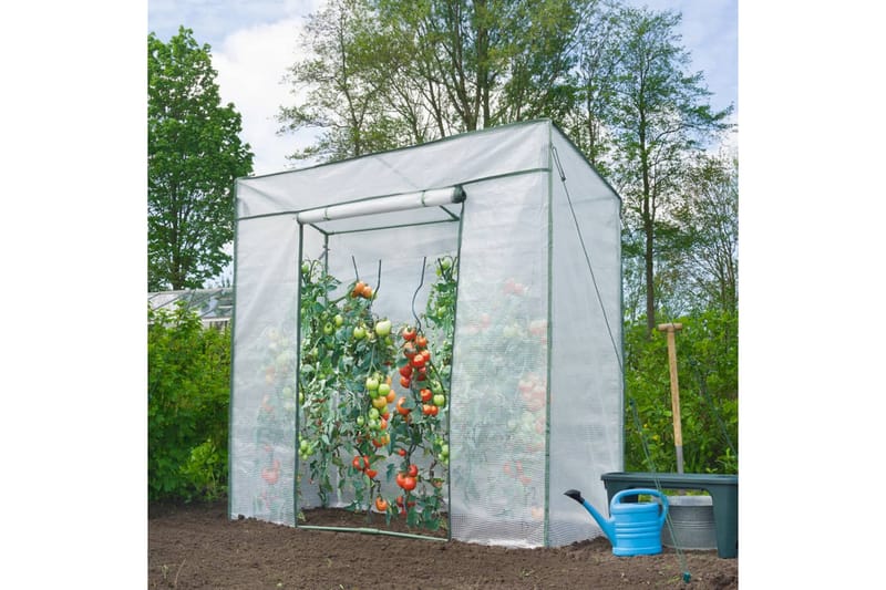 Växthus för tomatodling 198x78x200 cm - Transparent - Växthus - Fristående växthus