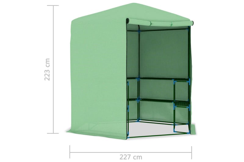 Växthus med hyllor stål 227x223 cm - Grön - Trädgård & spabad - Trädgårdsskötsel - Växthus