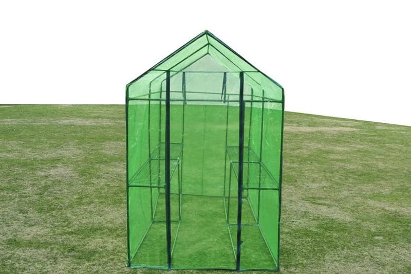 Växthus stål XL - Grön - Växthus - Fristående växthus
