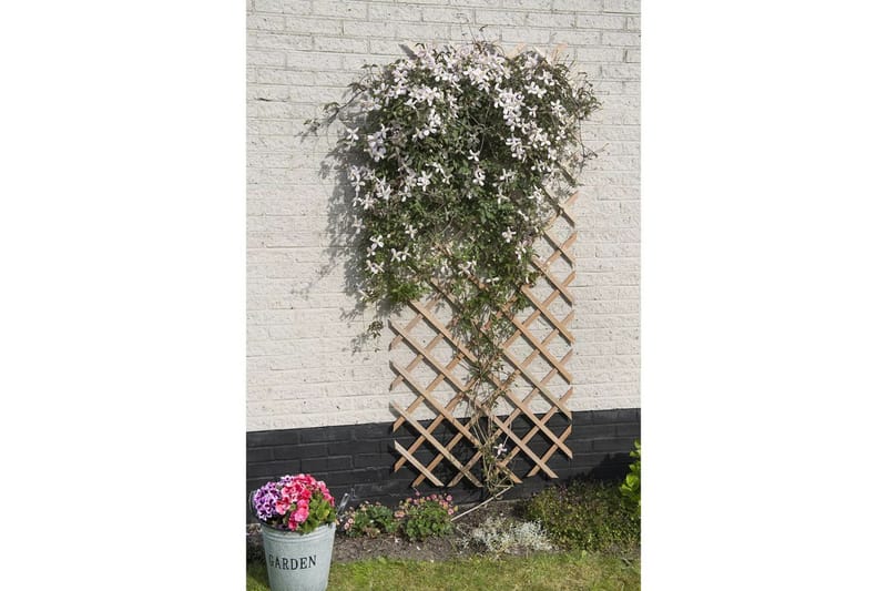Nature Trädgårdsspaljé 50x150 cm trä naturlig - Brun - Trädgård & spabad - Trädgårdsskötsel - Växthus - Växthustillbehör