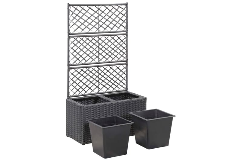 Spaljé med 2 krukor upphöjd 58x30x107 cm konstrotting svart - Svart - Trädgård & spabad - Trädgårdsskötsel - Växthus - Växthustillbehör