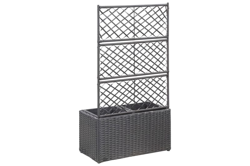 Spaljé med 2 krukor upphöjd 58x30x107 cm konstrotting svart - Svart - Trädgård & spabad - Trädgårdsskötsel - Växthus - Växthustillbehör