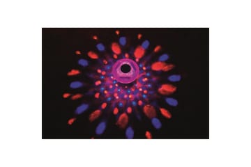 Övrigt friluftsliv Planet Pool Poollampa Planet Pool Flowclear LED Flytande - Trädgård & spabad - Utemiljö - Altan & terrass - Altanbelysning
