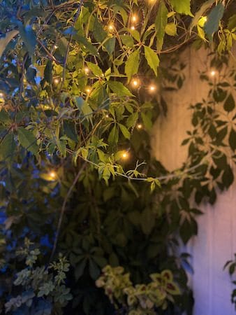 LED-istappsslinga Golden Warm White 6 m 240 ljus - Svart - Trädgård & spabad - Utemiljö - Altan & terrass - Altanbelysning