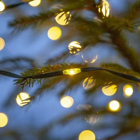 LED-ljusslinga Jul Dew Drop Micro 15 m 200 ljus Varmvit - Grön - Trädgård & spabad - Utemiljö - Altan & terrass - Altanbelysning