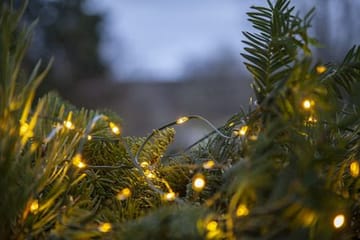 LED-ljusslinga Jul Dew Drop Micro 7 m 96 ljus Varmvit Batteridriven - Grön - Trädgård & spabad - Utemiljö - Altan & terrass - Altanbelysning