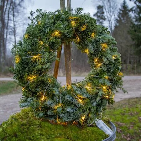 LED-ljusslinga Jul Dew Drop Micro 7 m 96 ljus Varmvit Batteridriven - Transparent - Trädgård & spabad - Utemiljö - Altan & terrass - Altanbelysning