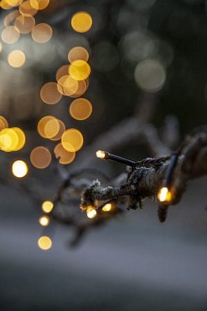 LED-ljusslinga Jul Flashy 21 m 300 ljus Varmvit - Svart - Trädgård & spabad - Utemiljö - Altan & terrass - Altanbelysning