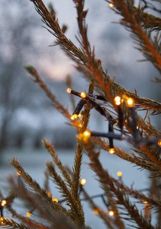 LED-ljusslinga Jul Golden Warm White 24 m 1200 ljus - Svart - Trädgård & spabad - Utemiljö - Altan & terrass - Altanbelysning