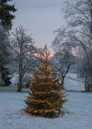 LED-ljusslinga Jul Golden Warm White 24 m 1200 ljus - Svart - Trädgård & spabad - Utemiljö - Altan & terrass - Altanbelysning