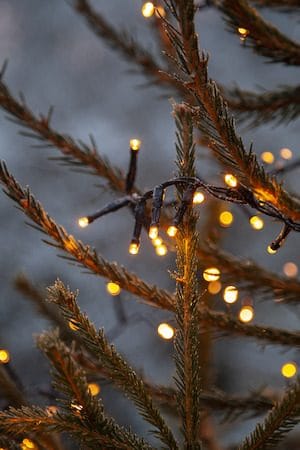 LED-ljusslinga Jul Golden Warm White 24 m 1200 ljus - Svart - Trädgård & spabad - Utemiljö - Altan & terrass - Altanbelysning