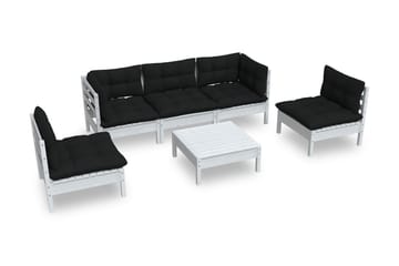 Loungegrupp Utomhus med dynor 6 delar massiv furu