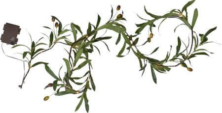 Olivec Girland - grön med brun kabel - Tr ädgård & spabad - Utemiljö - Altan & terrass - Altanbelysning