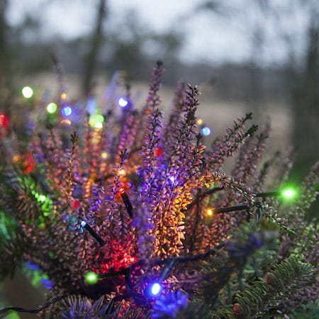 Serie MicroLED Ljusslinga Jul Utomhus 3 m 30 Flerfärgade Ljus - Svart - Trädgård & spabad - Utemiljö - Altan & terrass - Altanbelysning
