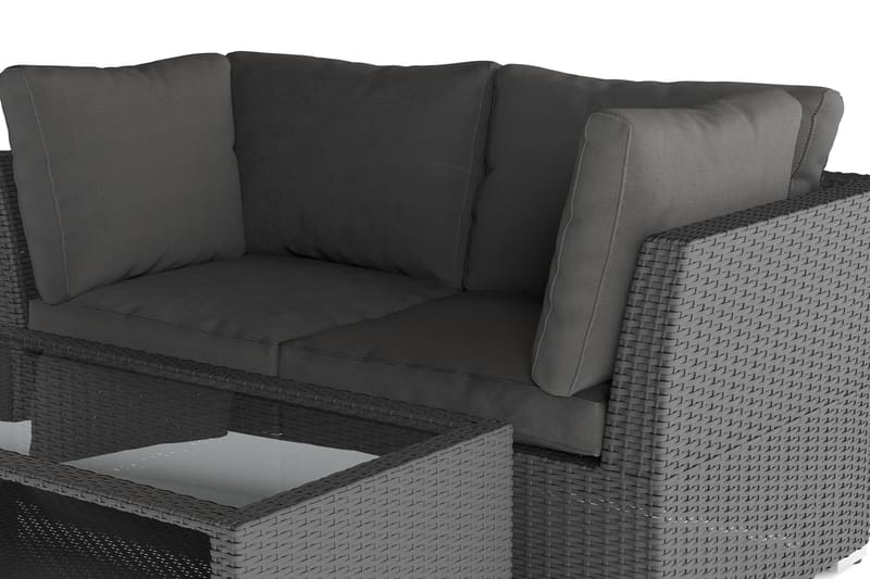 Wisconsin Premium Loungegrupp Utomhus med Armstöd 2-sits Konstrotting - Svart - Trädgård & spabad - Utemiljö - Altan & terrass - Altanmöbler