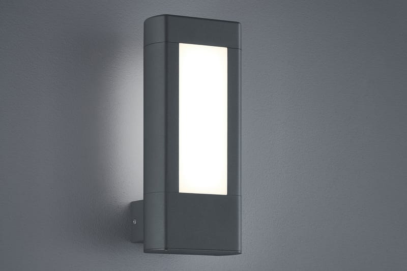 Rhine LED Vägglampa antracit, Antracit/Vit