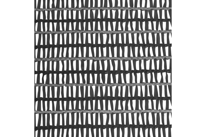 Insynsskyddsnät antracit 1,5x10 m HDPE 68 g/m² - Grå - Trädgård & spabad - Utemiljö - Trädgårdsdekoration - Myggnät & insektsnät