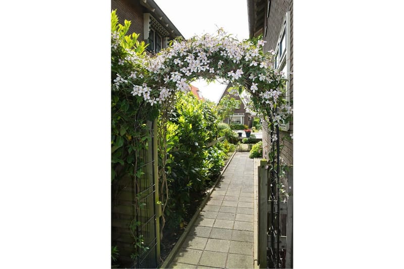 Nature Rosenb�åge metall 229x38x113 cm svart - Svart - Trädgård & spabad - Utemiljö - Trädgårdsdekoration - Trädgårdsfigurer & trädgårdsprydnad