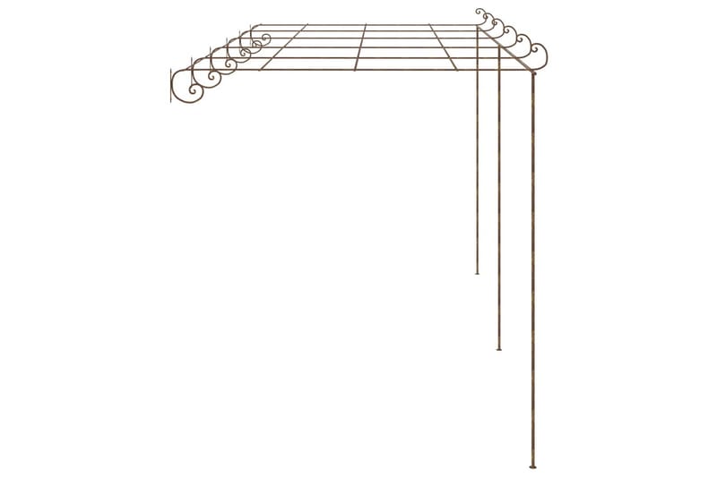 Pergola antikbrun 6x3x2,5 m järn - Brun - Trädgård & spabad - Utemiljö - Trädgårdsdekoration - Trädgårdsfigurer & trädgårdsprydnad