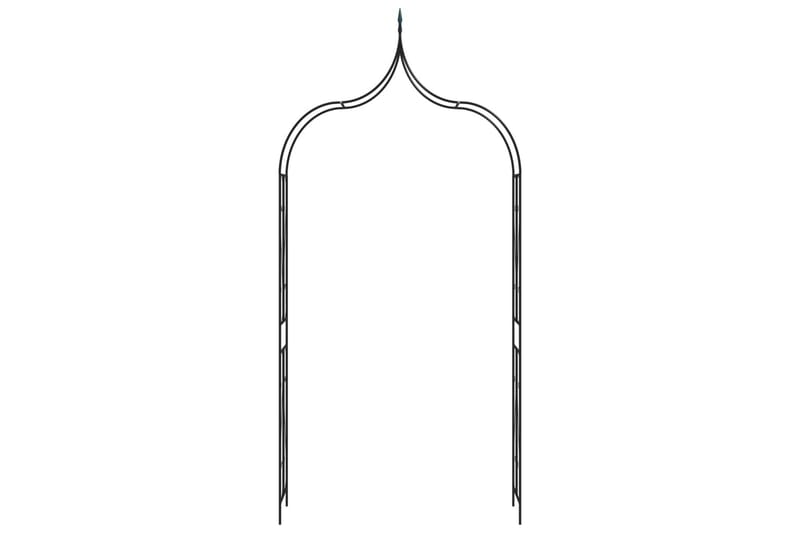 Trädgårdsbåge mörkgrön 120x38x258 cm järn - Grön - Trädgård & spabad - Utemiljö - Trädgårdsdekoration - Trädgårdsfigurer & trädgårdsprydnad