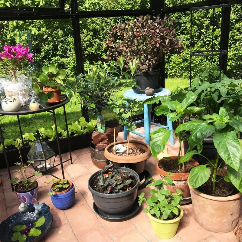 Gazebo 17,6m² | Stort premiumväxthus| Stormgaranti | 4 mm säkerhetsglas - Trädgård & spabad - Uterum & fritidshus - Lusthus & gazebo