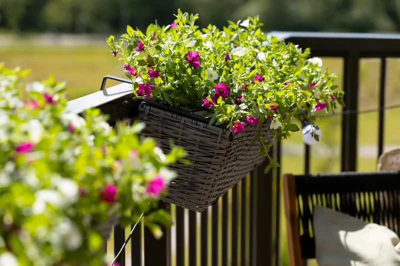 Balkonglåda Wicker Grå - Grå - Utemöbler - Balkong - Balkongodling - Balkonglåda