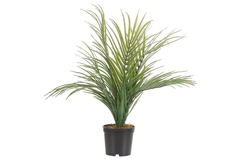 Konstgjord växt Areca Palm 7x7x45 cm - 7x7x45 cm - Utemöbler - Balkong - Balkongodling - Balkongblommor