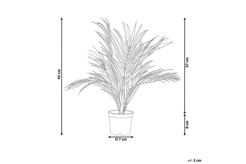 Konstgjord växt Areca Palm 7x7x45 cm - 7x7x45 cm - Utemöbler - Balkong - Balkongodling - Balkongblommor