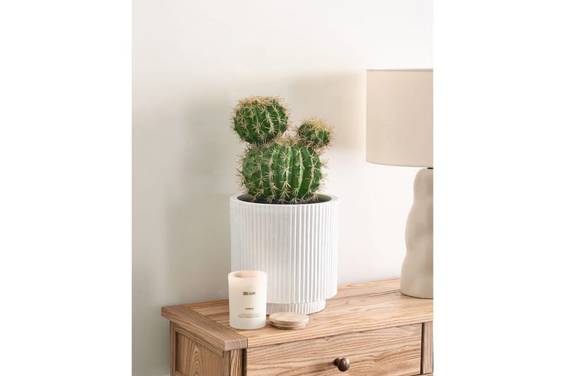 Konstgjord växt Ball Cactus - Utemöbler - Balkong - Balkongodling - Balkongblommor