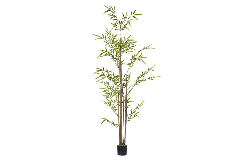 Konstgjord växt Bambusa Vulgaris 9x9x160 cm - 9x9x160 cm - Utemöbler - Balkong - Balkongodling - Balkongblommor