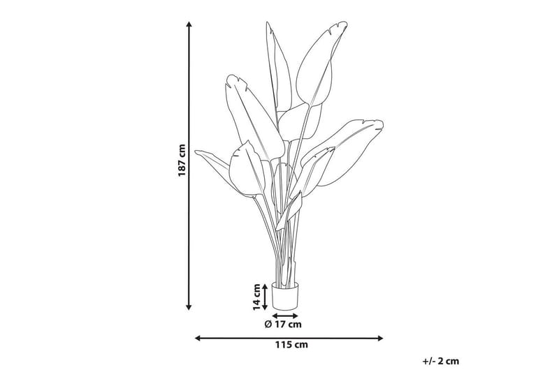 Konstgjord växt Banana Tree Grön/Svart, 115x115x187 cm - Grön/Svart, 115x115x187 cm - Utemöbler - Balkong - Balkongodling - Balkongblommor