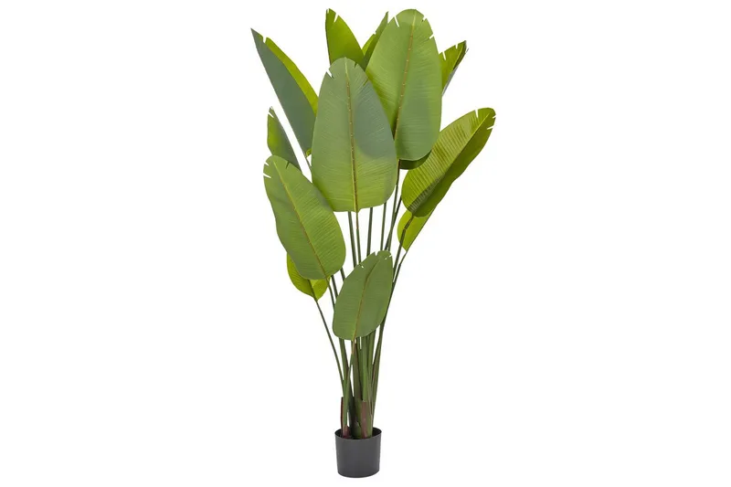 Konstgjord växt Banana Tree Grön/Svart, 115x115x187 cm, Grön/Svart, 115x115x187 cm