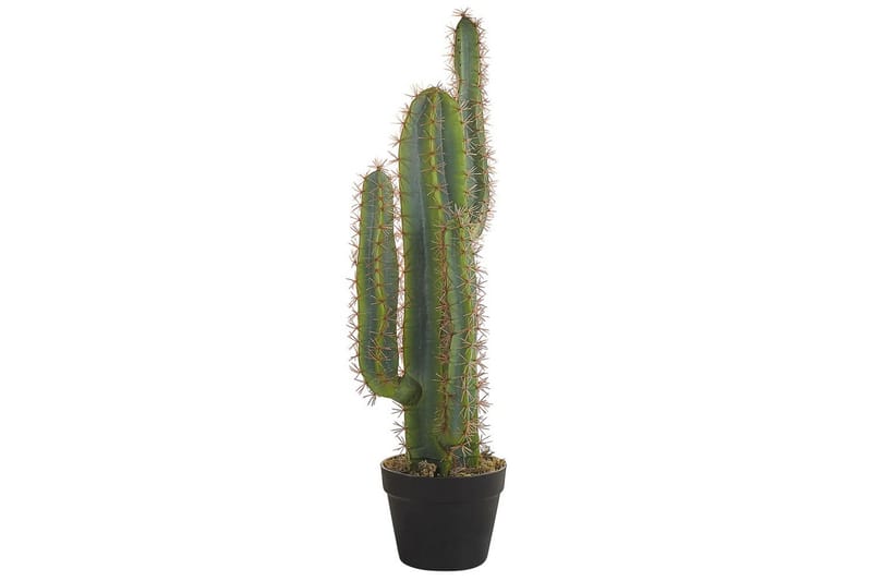 Konstgjord växt Cactus - Utemöbler - Balkong - Balkongodling - Balkongblommor