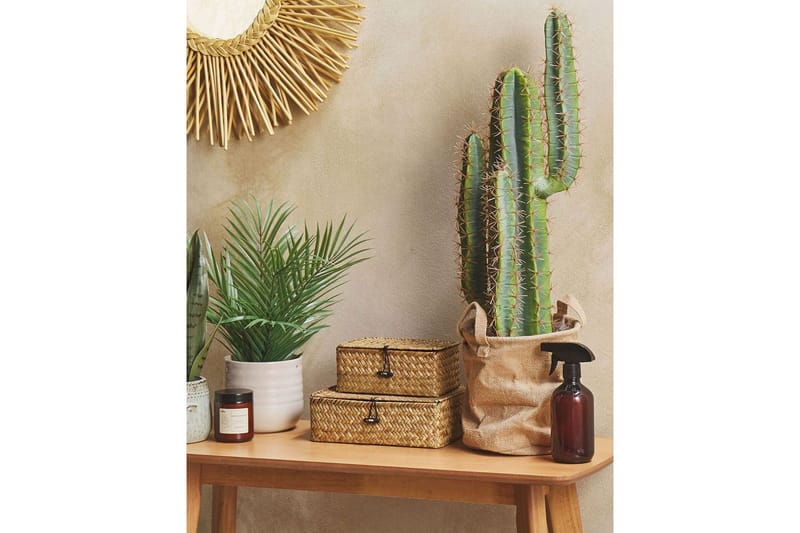 Konstgjord växt Cactus - Utemöbler - Balkong - Balkongodling - Balkongblommor