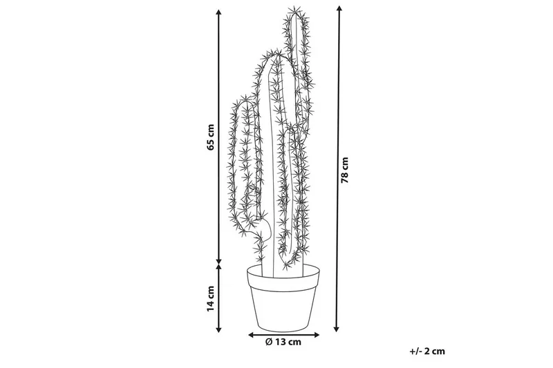 Konstgjord växt Cactus - Utemöbler - Balkong - Balkongodling - Balkongblommor