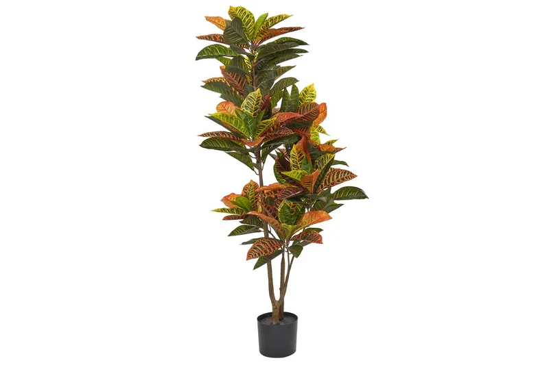 Konstgjord växt Codiaeum, undefined