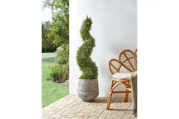 Konstgjord växt Cypress Spiral Tree - Inredning - Konstgjorda växter & plastväxter