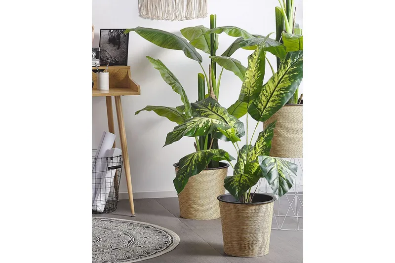 Konstgjord växt Dieffenbachia 16x16x122 cm - 16x16x122 cm - Utemöbler - Balkong - Balkongodling - Balkongblommor