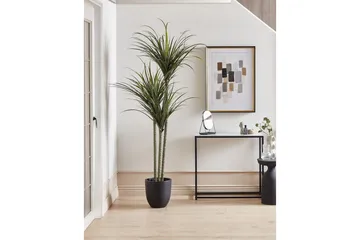 Konstgjord växt Dracaena Anita - Inredning - Konstgjorda växter & plastväxter