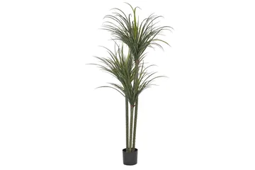 Konstgjord växt Dracaena Anita - Inredning - Konstgjorda växter & plastväxter